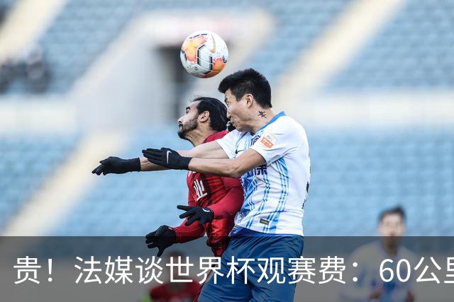 贵！法媒谈世界杯观赛费：60公里火车98美元，有人4天花4500欧元